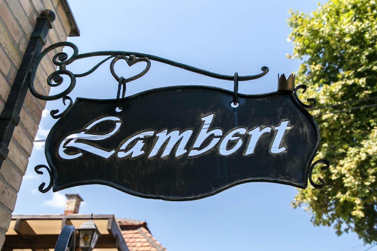 Hotel Lambert Berehove (Transcarpathia)